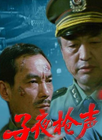 国产精品va一级二级三级